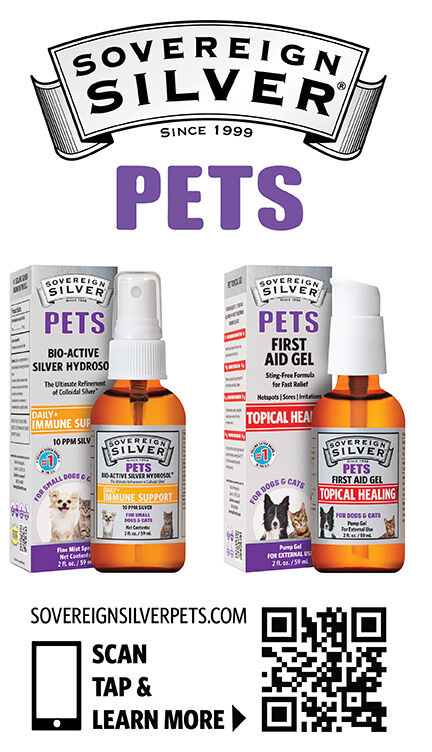 SP SCAN ME (PET BUSINESS).jpg